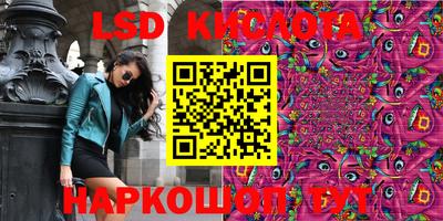 СК Ногинск
