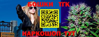 СК Ногинск