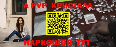 СК Ногинск