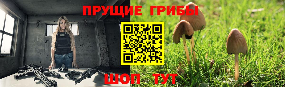 Галлюциногенные грибы Psilocybine cubensis Асбест